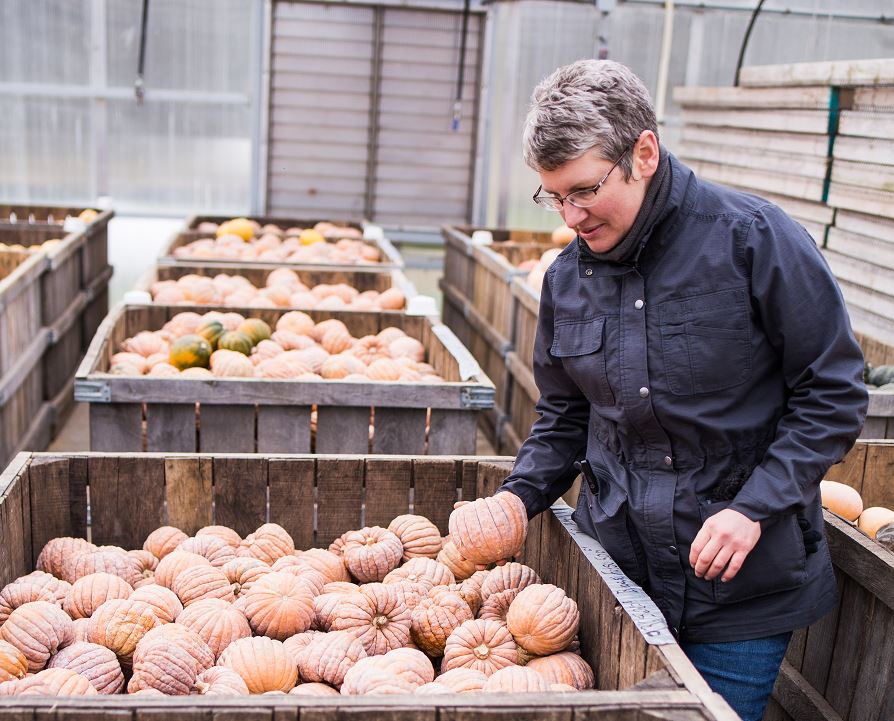 Farmer Andrea Looks at Winter Squash