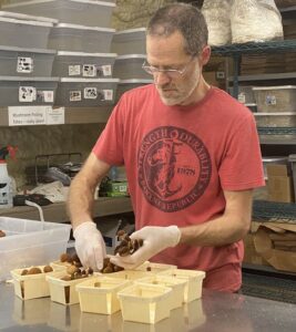 Jeremy at Northwood Mushrooms Packs Mushrooms