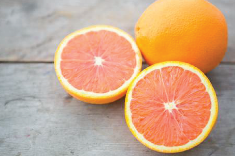Image for Comparing Winter Citrus