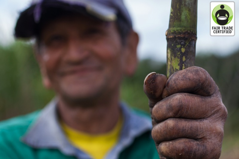 Image for The Ethical Shopping Cart: How to Bring Home Products that Do Good