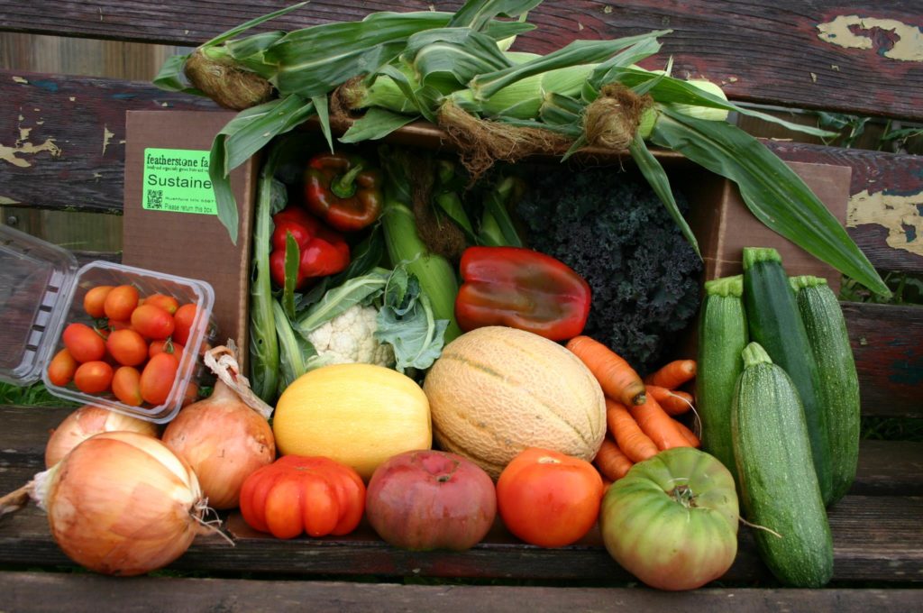 Image for Top 6 Reasons to Invest in a Local CSA