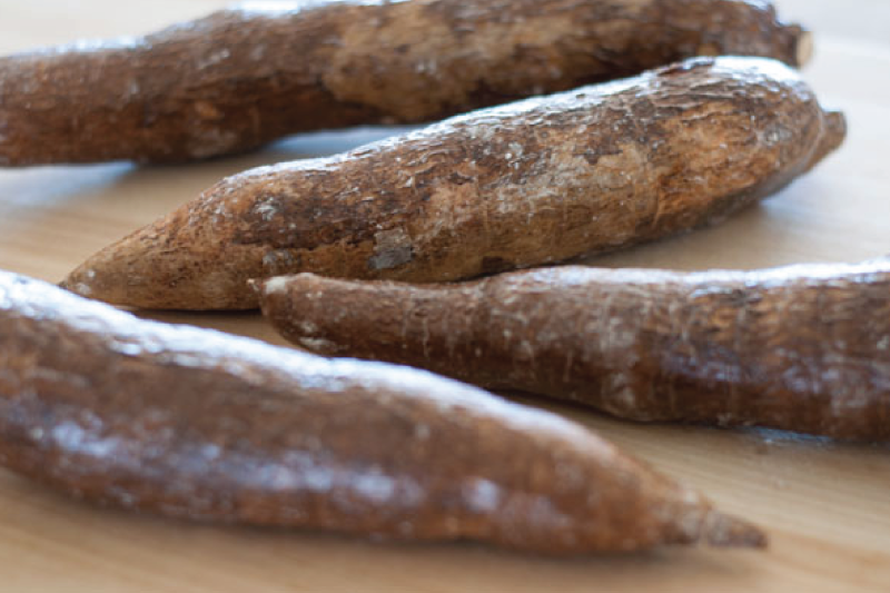 Image for What Is It? Yuca (Cassava) Root