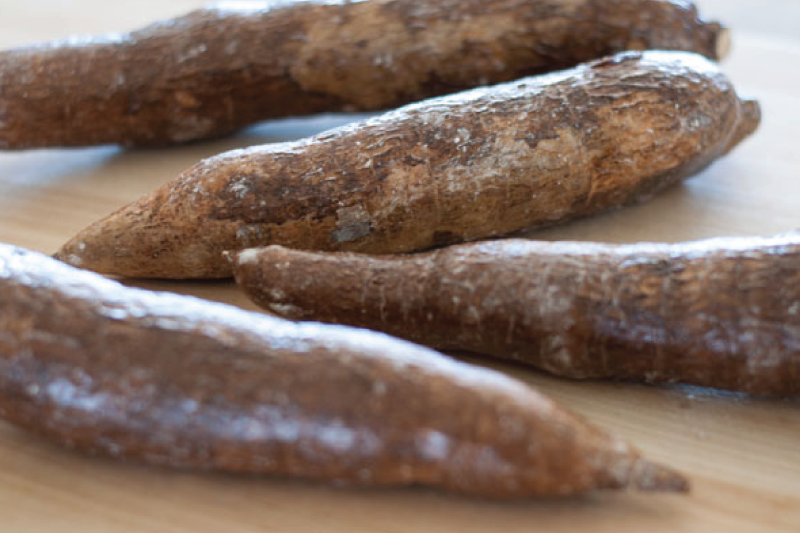 What Is Yuca Here s How To Eat It Lakewinds Food Co op