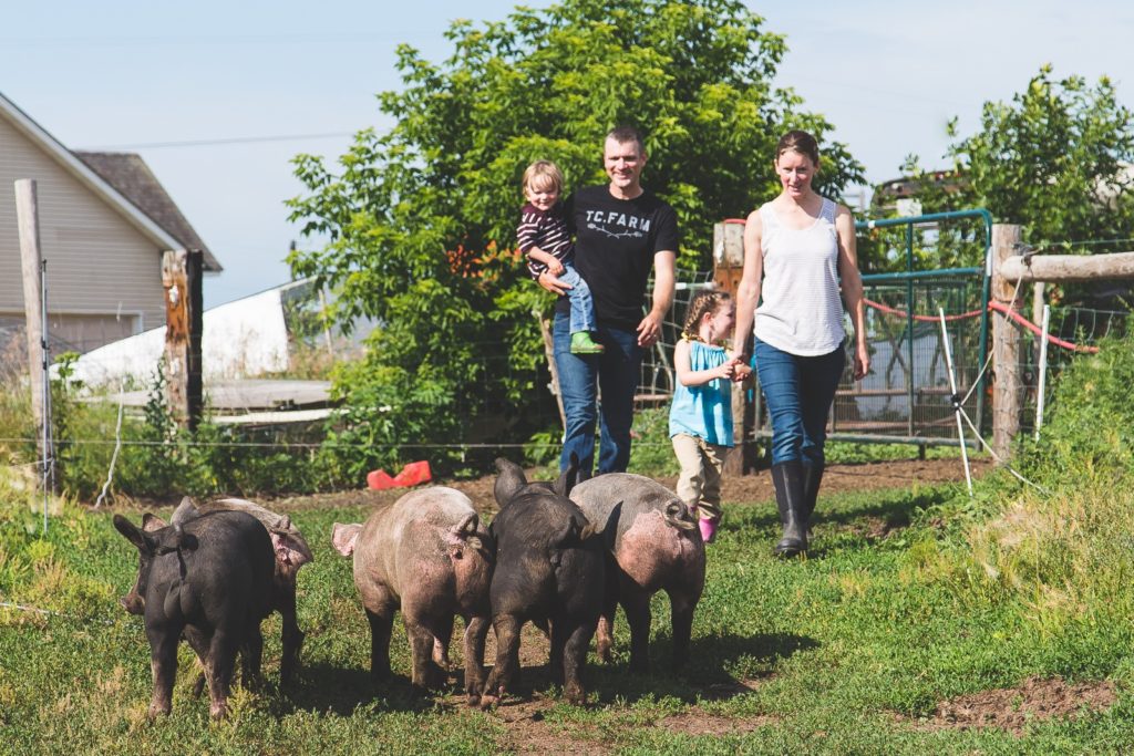 Pasture Raised Pork at TC Farm