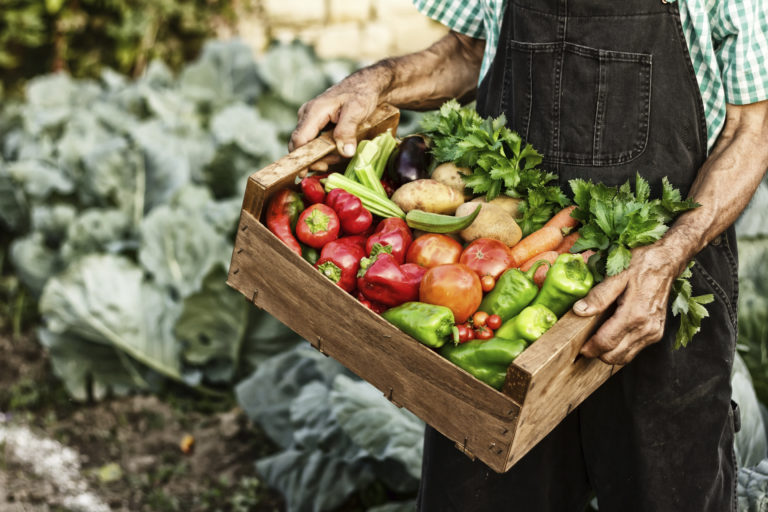qualityproduce Lakewinds Food Coop