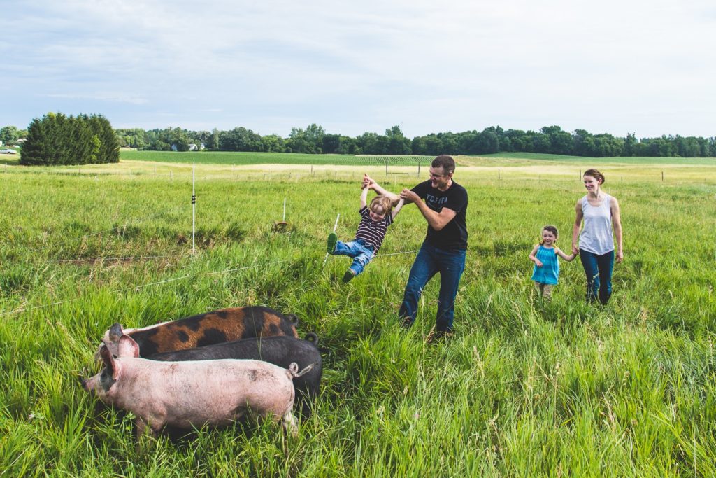 Image for The Environmental Impact of Pasture-Raised Pork