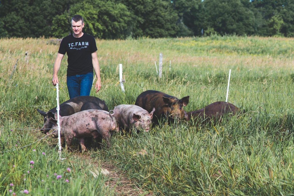 blog-post-3-photo-2-jack-with-pigs-blog-image