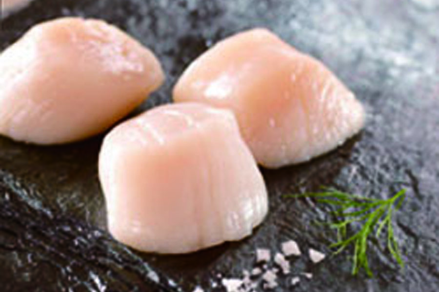 scallop2 Lakewinds Food Coop