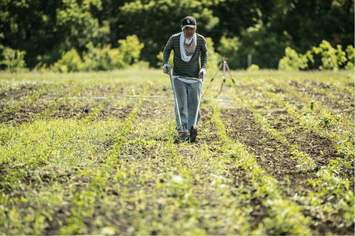 Sustainable Food Practices on a Small Scale Farm