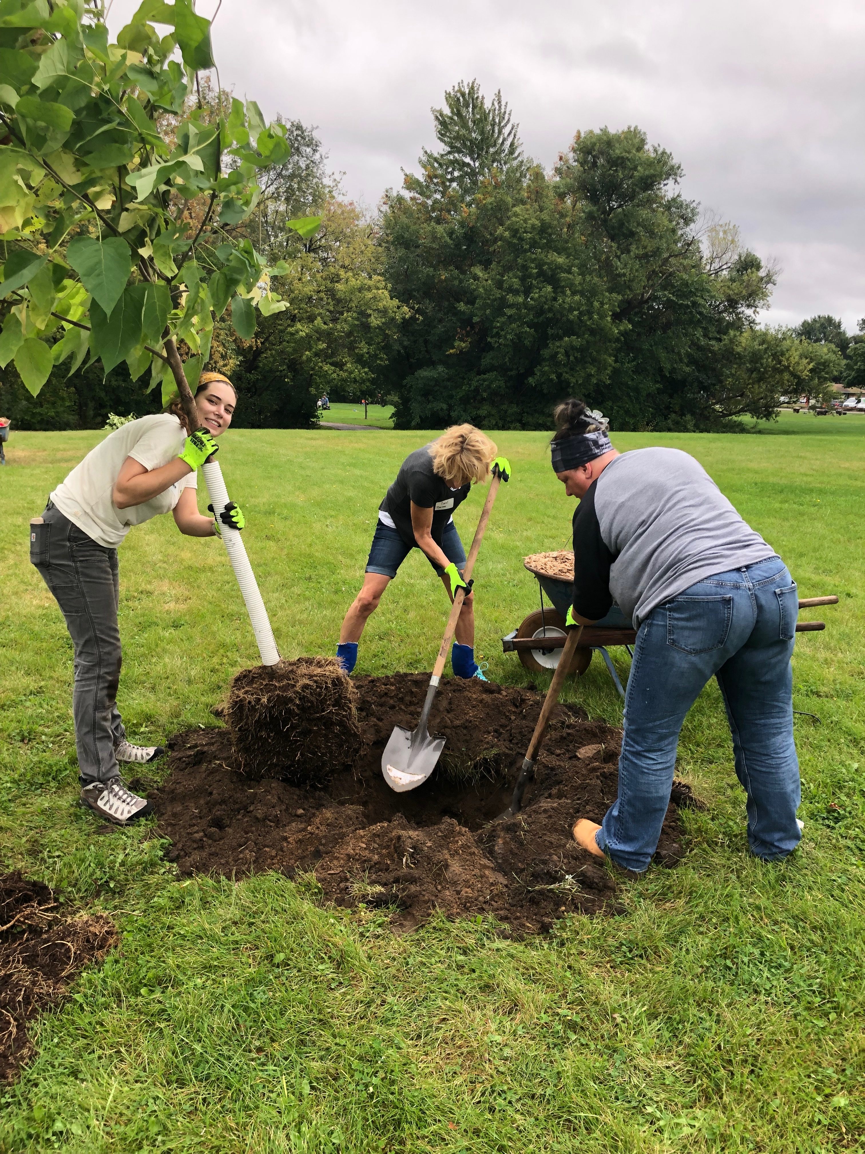 Tree Trust Planting event 2019 at Veterans Park- group digging hole ...