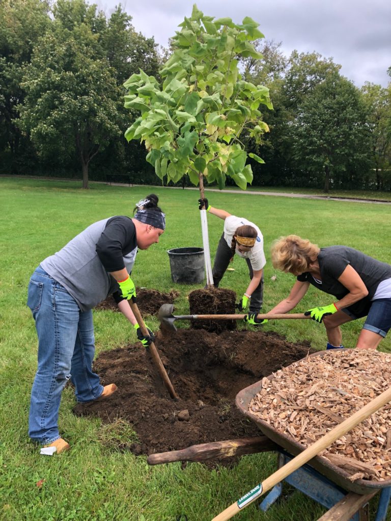 Tree Trust planting event 2019 at Veterans Park- group planting tree ...