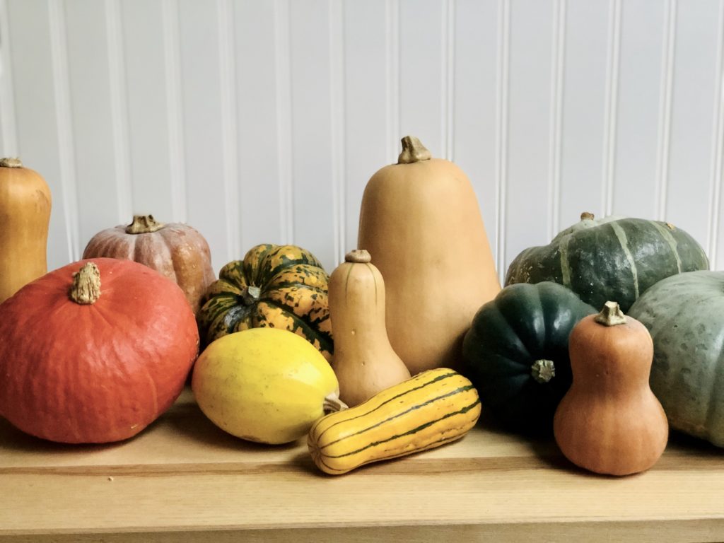 Winter Squash Types and Uses