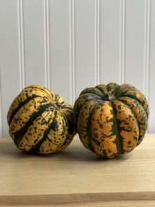 Winter Squash Carnival