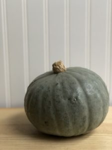 Winter Squash Gray Kabocha