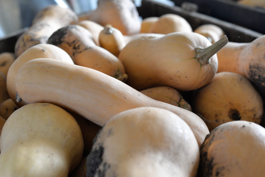 Butternuts Lakewinds Food Coop