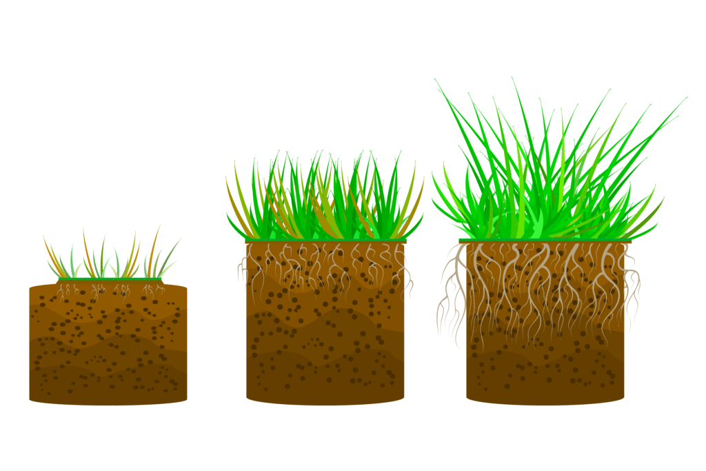 Healthy Soil In 5 Easy Steps Lakewinds Food Co Op