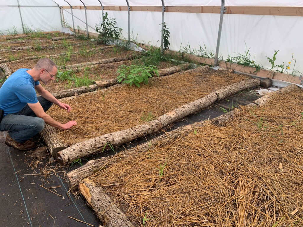 Jeremy Kneels Over a Bed of Compost and Straw Where Nameko Mushrooms Are Grown