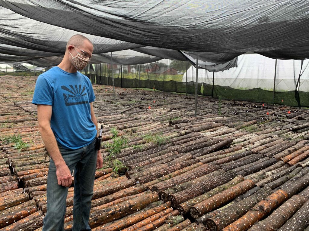 Jeremy Stands in a Tent Full of Logs Ready to Grow Mushrooms