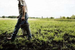 One of Lakewinds' Farmer-Partners Walks Through His Field