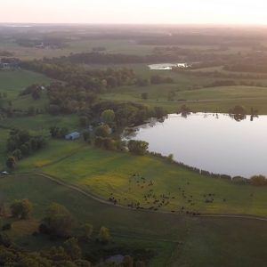 an aerial view of healthy, living pasture land