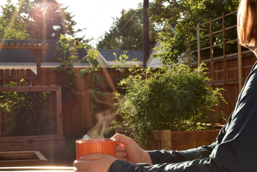 Tea in the Morning Sun