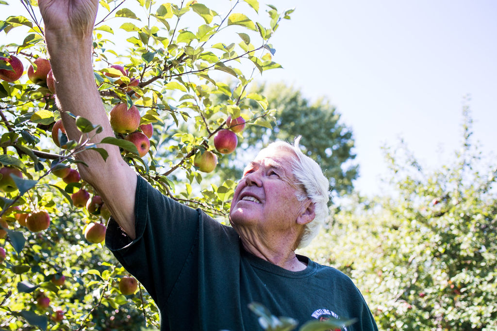 https://www.lakewinds.coop/wp-content/uploads/2021/08/Whistling-Well_Charlie-in-orchard-picking-an-apple-hor-MS-4.jpg