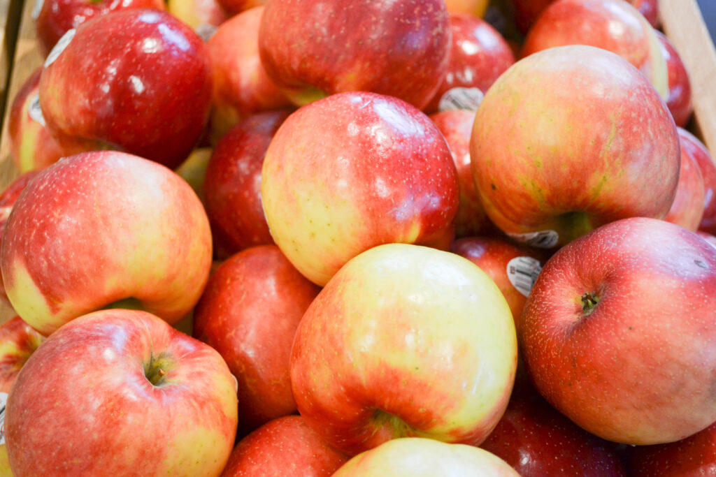 Minnesota Secretary Of State - State Fruit - Honeycrisp Apple