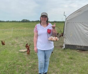 farmer holds eggs standing in a free-range enclosure