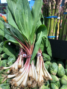 3 Bundles of Ramps by Asparagus and Brussels