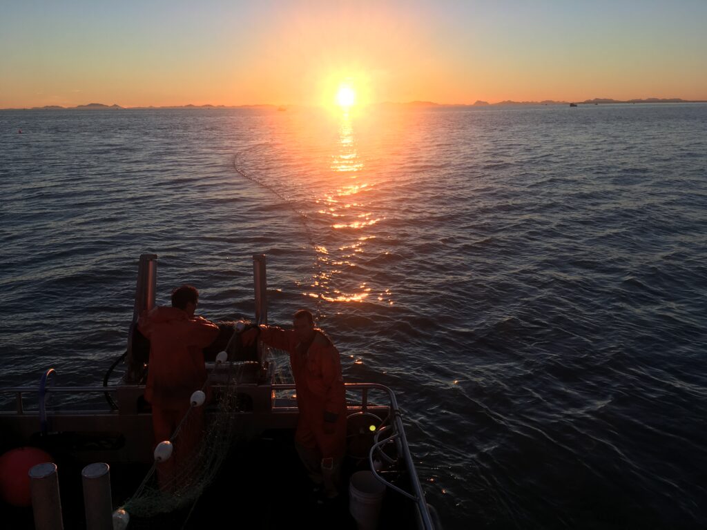 In the foreground a fishing boat casts a net while the sun sets in over the horizon in the background.