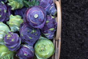 Green and Purple Kohlrabi Bulbs in a Basket