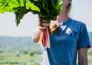 Farmer in Field Holding Chard