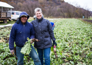 Harmony Valley Farmers in the Field