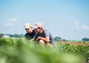 Twin Organics Brothers Crouching in a Field of Produce
