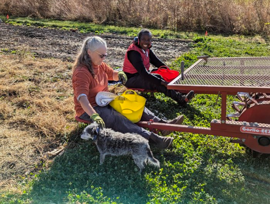 Two Women Sitting On Farm Equipment