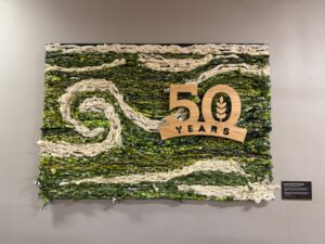 Woven Textile Art Cream Swirls on Green Background with 50 Years Wood Cutout