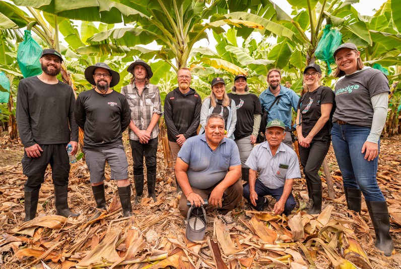 Image for Making a Better World, 50 Cents at a Time