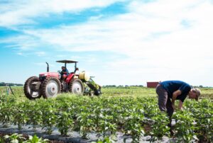 Farmer Weeding in Field With Tractor in Background