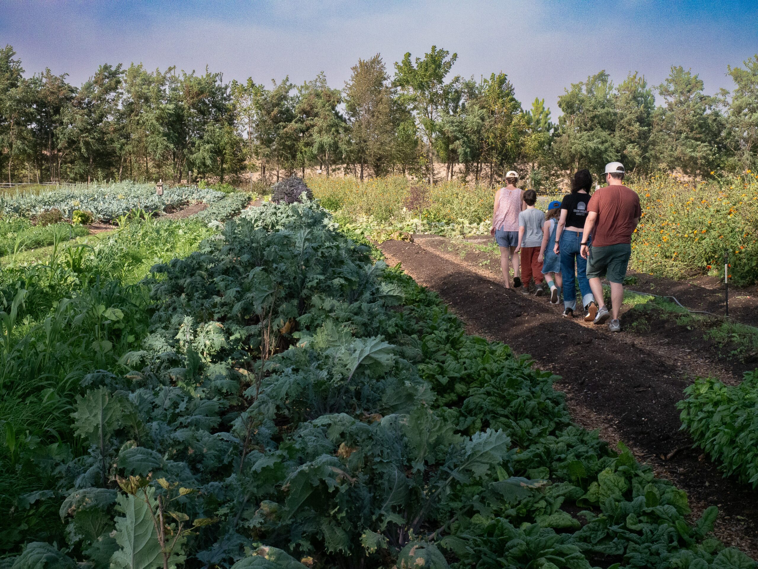 Family In Vegetable Farm Garden