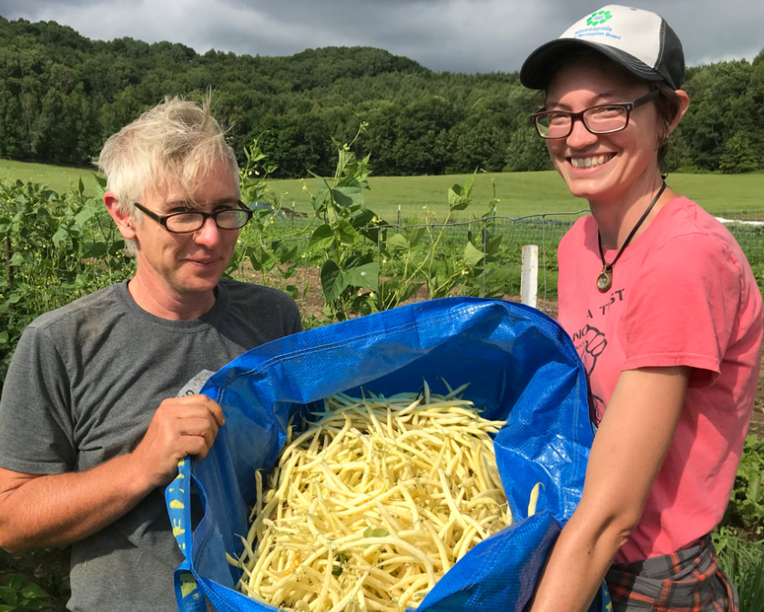Two People Holding Long Yellow Beans