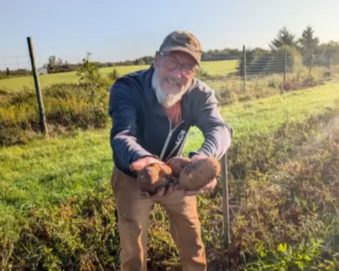 Man Holding Potato In Vegetable Bed