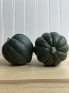 Acorn squash