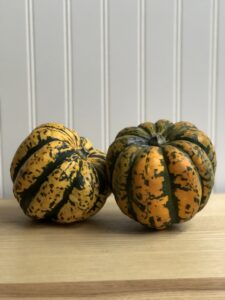 Carnival squash