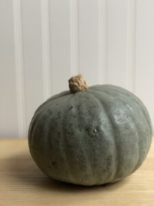 Kabocha squash