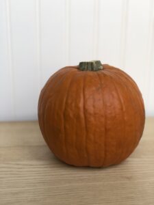 Pumpkin pie squash
