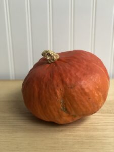 Red Kuri squash